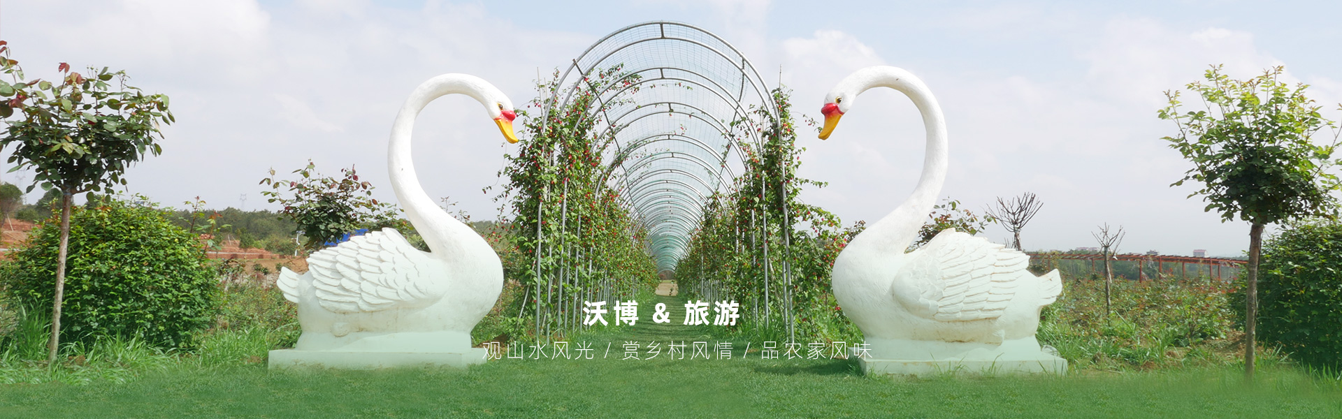 鮮果采摘都有江西沃博吳茱萸、江西沃博花海、江西沃博蔓荊子、江西沃博金銀花等品種，同時(shí)也是一家江西婚紗攝影旅拍基地和江西花海打卡基地，可以提供紫薇花花海造型服務(wù)，花花世界看沃博花海，相信我們這里不會(huì)讓大家失望的